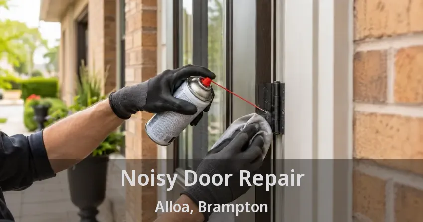 Noisy Door Repair Alloa, Brampton - ON